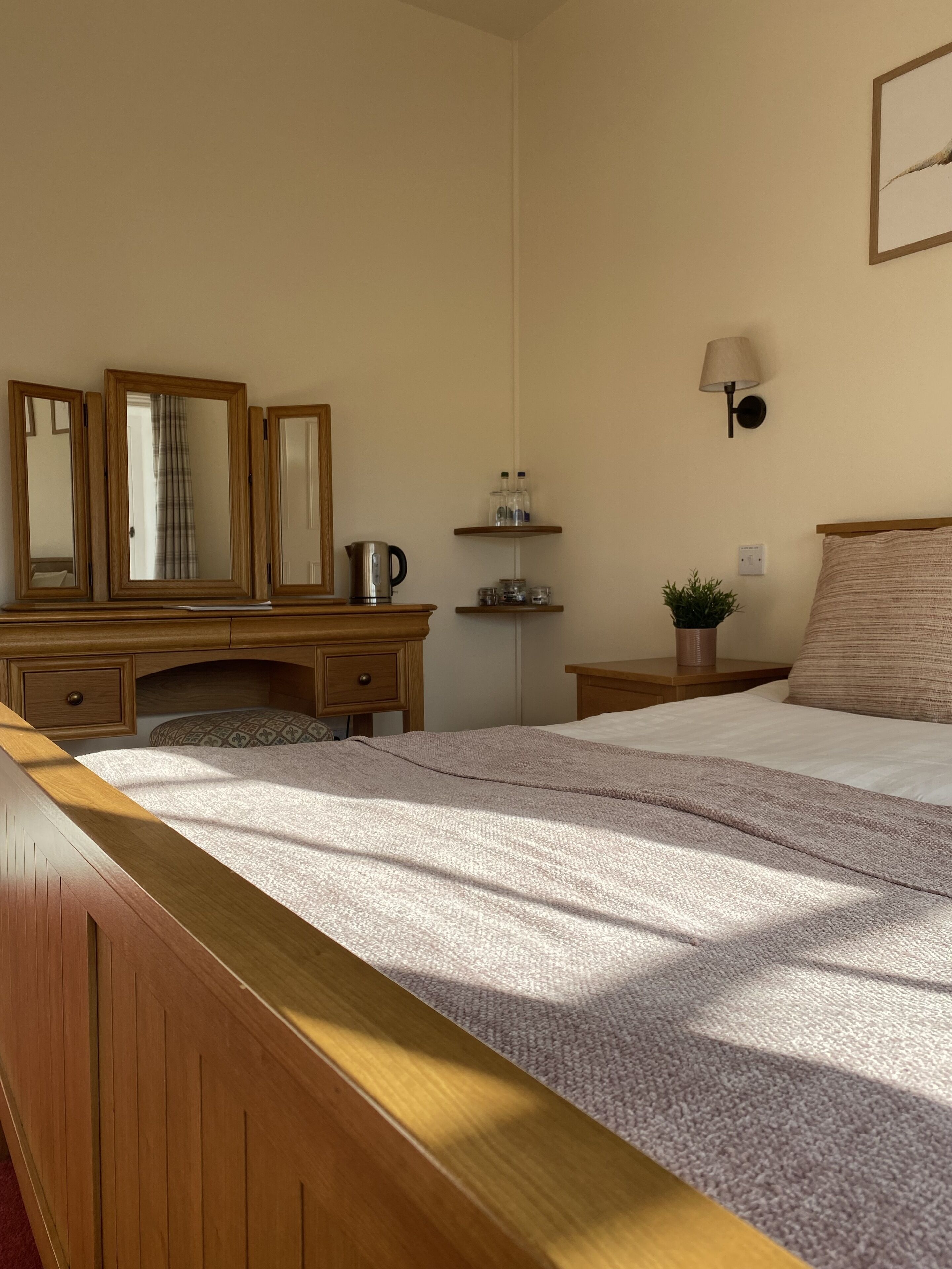A bedroom with a wooden bed, a bedside table with a lamp, a nightstand with a plant, and a dresser with mirrors and a kettle.
