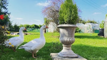 Jardín