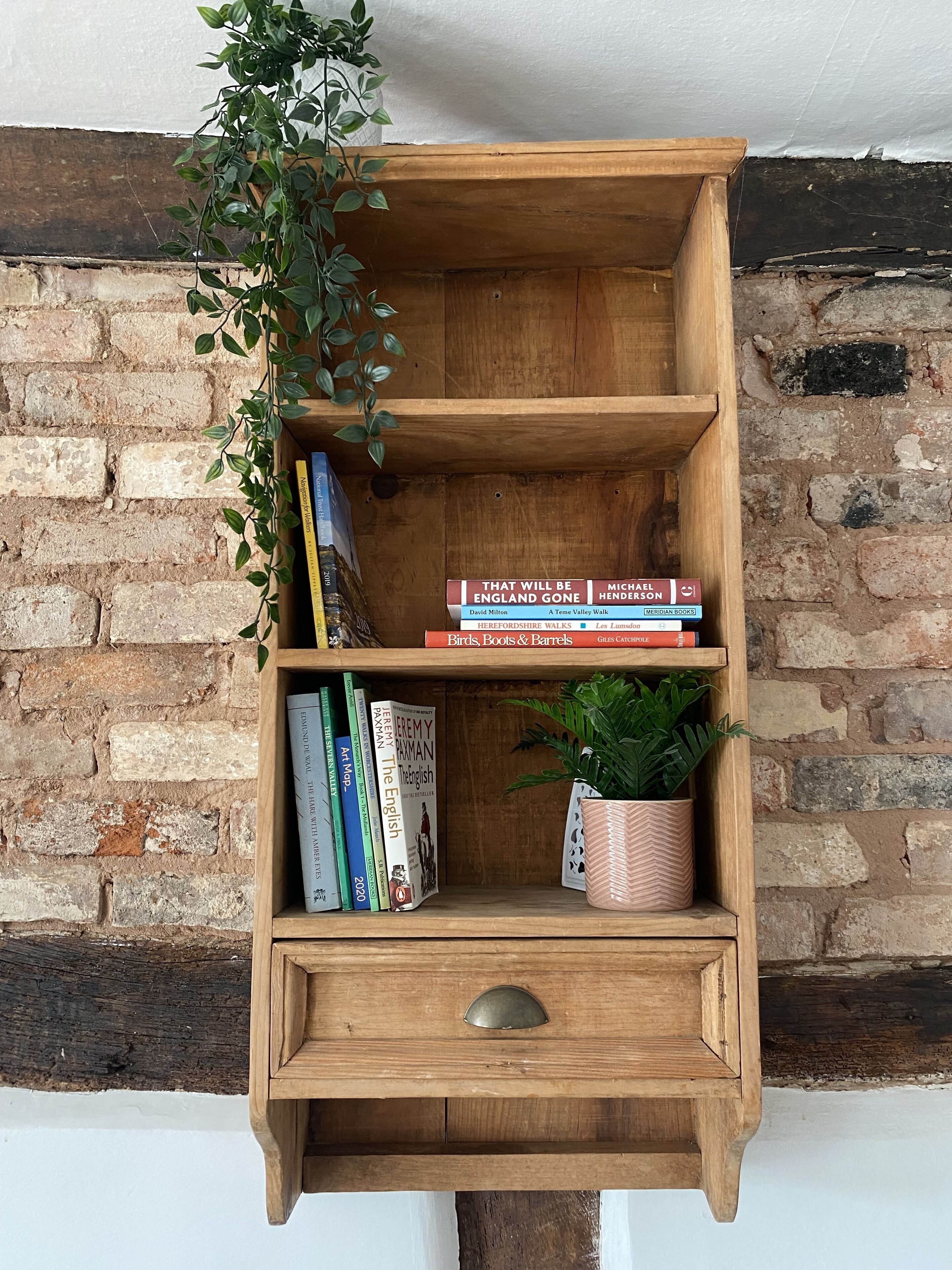 Una estantería de madera con libros y una planta en maceta, frente a una pared de ladrillo.