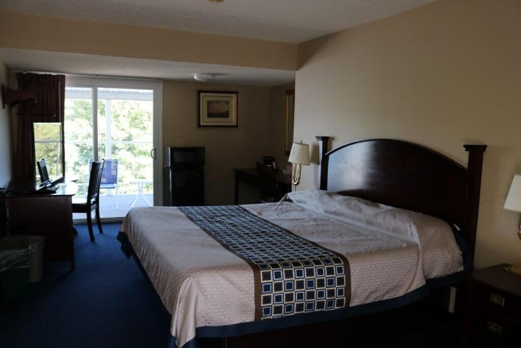 Habitación de hotel con cama, escritorio, silla, televisión y ventana con vista a árboles.