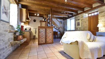 Télévision, cheminée, lecteur de DVD, table de tennis de table