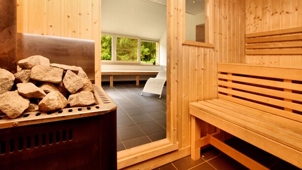 A sauna room with wooden benches and a stone pile. - Fine group house with sauna garden (Chiny)