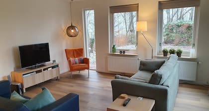 Ferienhaus in Heeten nahe Waldwegen