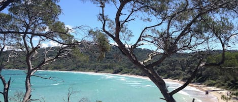 Una spiaggia nelle vicinanze