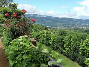Property grounds - Countryside Cottage with Private Terrace (Gondufe, Ponte de Lima)