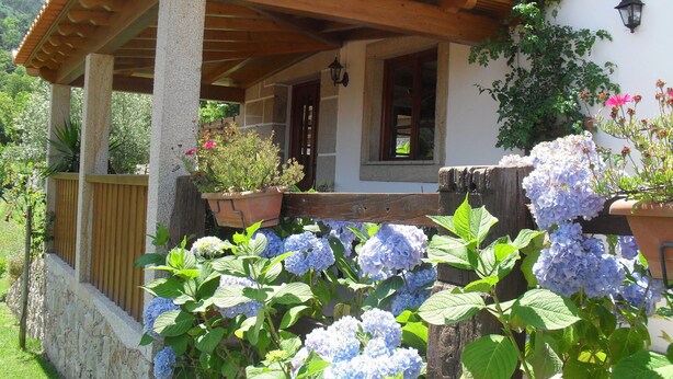 A covered porch with stone pillars, potted plants, and hydrangea flowers. - Countryside Cottage with Private Terrace (Gondufe, Ponte de Lima)