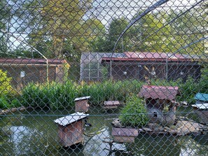 Een omheind vijver met vogelvoeders en een landelijke gebouw op de achtergrond.