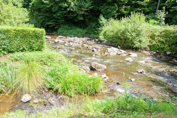 A natural stream with rocks and greenery.