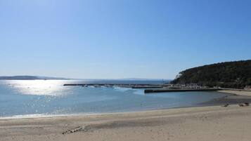 A beach with a clear sky, calm water, and a forested area in the background.
