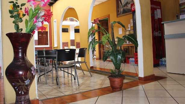 Un comedor con mesas y sillas, un jarrón grande con flores y plantas en macetas.