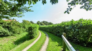 Un sentier rural bordé de haies et d’arbres verdoyants, qui mène à un bâtiment éloigné, reconnaissable à son toit rouge.