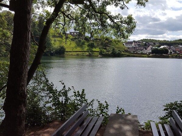 A lakeside view with a bench and a pathway leading to the water.