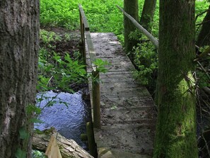 A wooden bridge over a stream in a forested area.