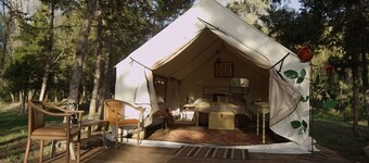 Norwegian Wood Ranch