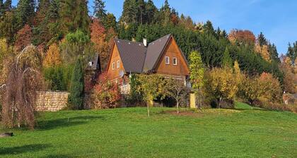 Private Poolvilla in Stupna