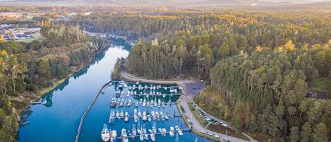 An aerial view of a marina surrounded by dense forest, with boats docked at the piers.