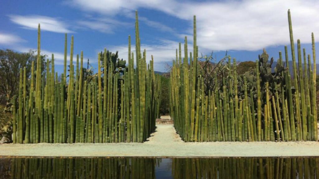 Foto - Azul Cielo Hostel