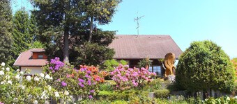 Ferienwohnung in Gütenbach