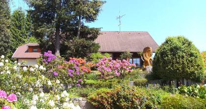 Lomahuoneisto villi ja romanttinen Schwarzwaldin kanssa ihanteellinen päiväretken vaihtoehtoja