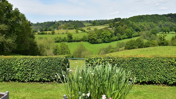 Eine üppige grüne Landschaft mit sanften Hügeln und einem gepflegten Heckenstreifen im Vordergrund.