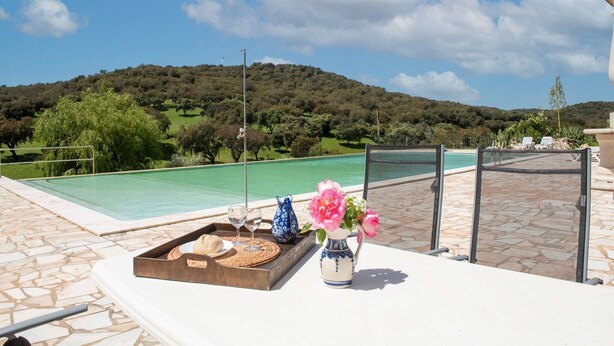 A poolside area with a view of a mountain, a table with a tray of food and drinks, and a vase of flowers.