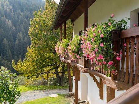 Property grounds. Chalet in Eberstein near Saualpe Ski
