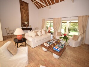 Télévision, cheminée, lecteur de DVD, livres