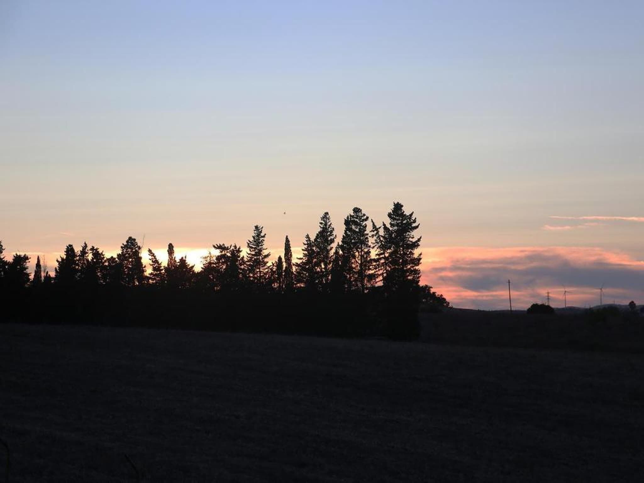 La silhouette d’une forêt se découpant sur un ciel crépusculaire.