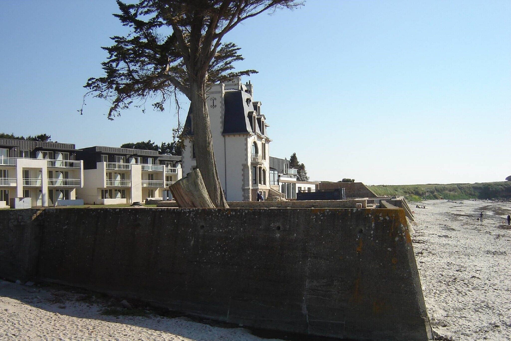 Een hotel aan de kust met meerdere verdiepingen, een opvallende boom ervoor en een zandstrand op de achtergrond.