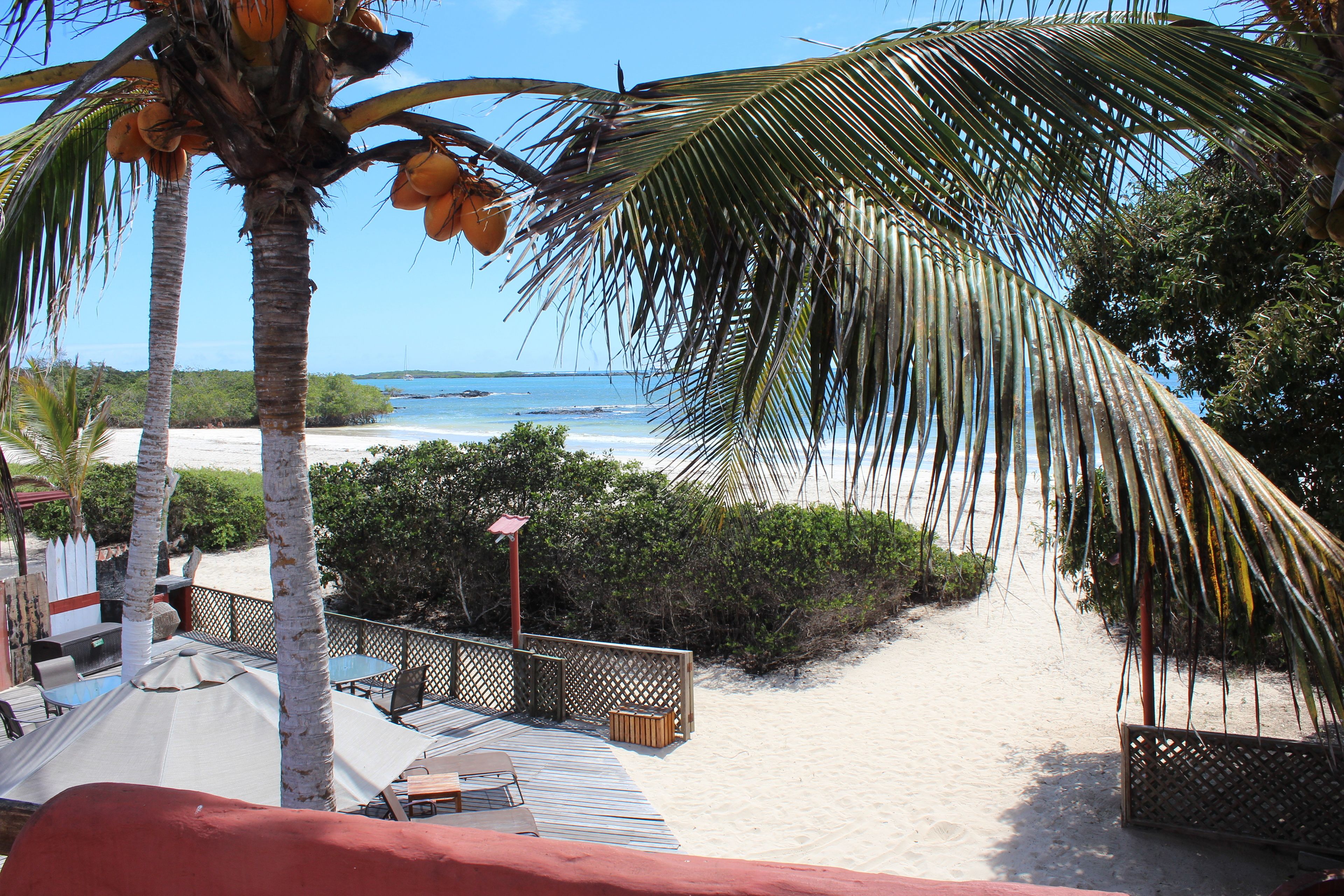 A beach view with palm trees, a sandy path, and a deck with outdoor seating.