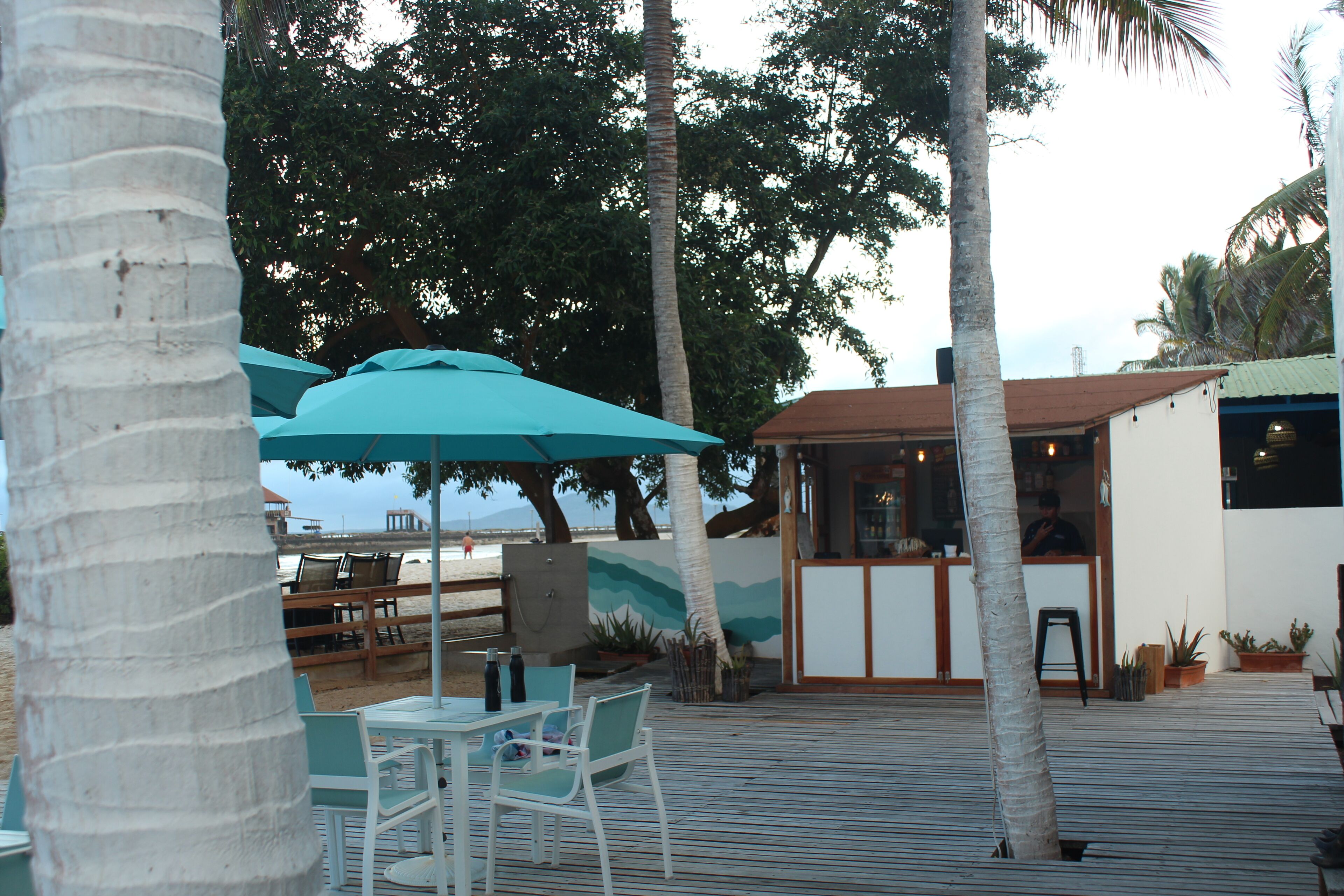 beach bar