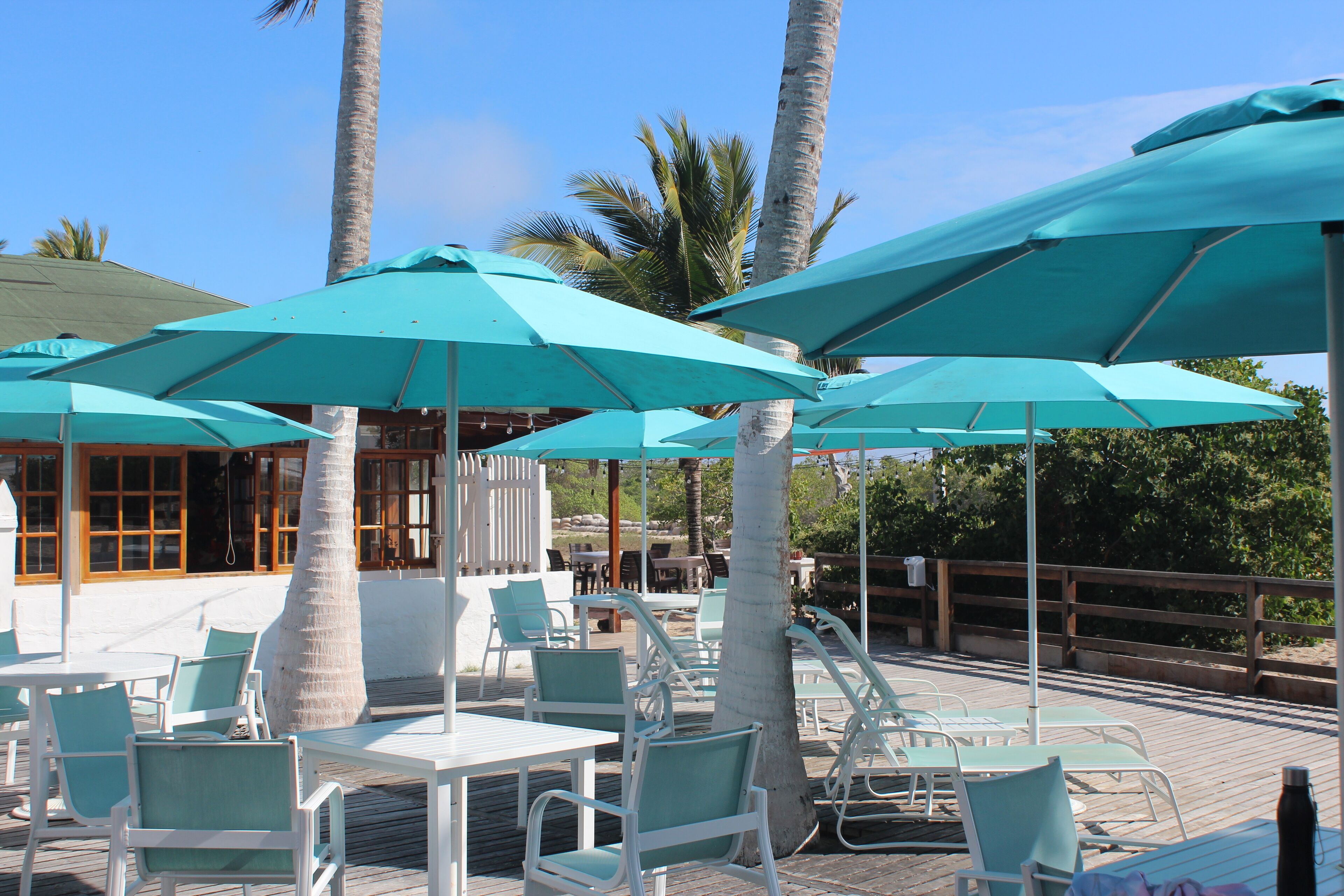 Outdoor seating with umbrellas, palm trees, and a wooden deck.