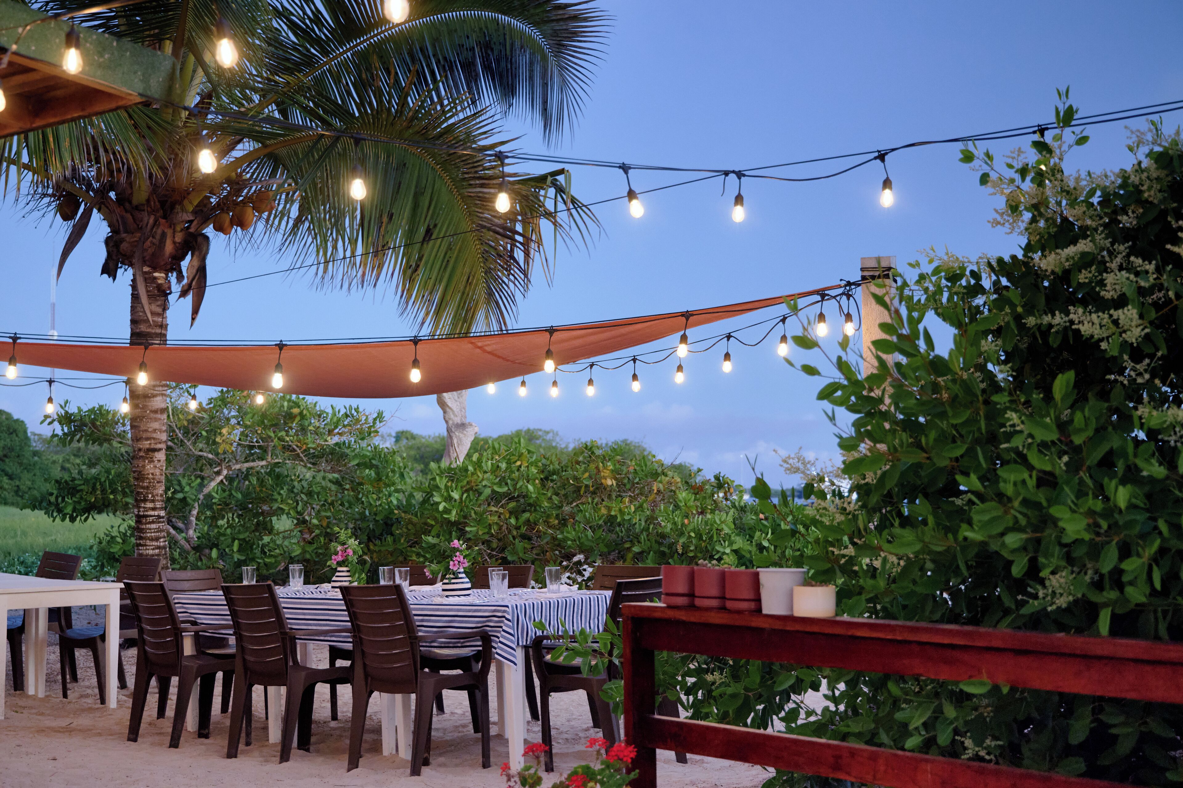An outdoor dining area with tables and chairs, string lights, and a palm tree.
