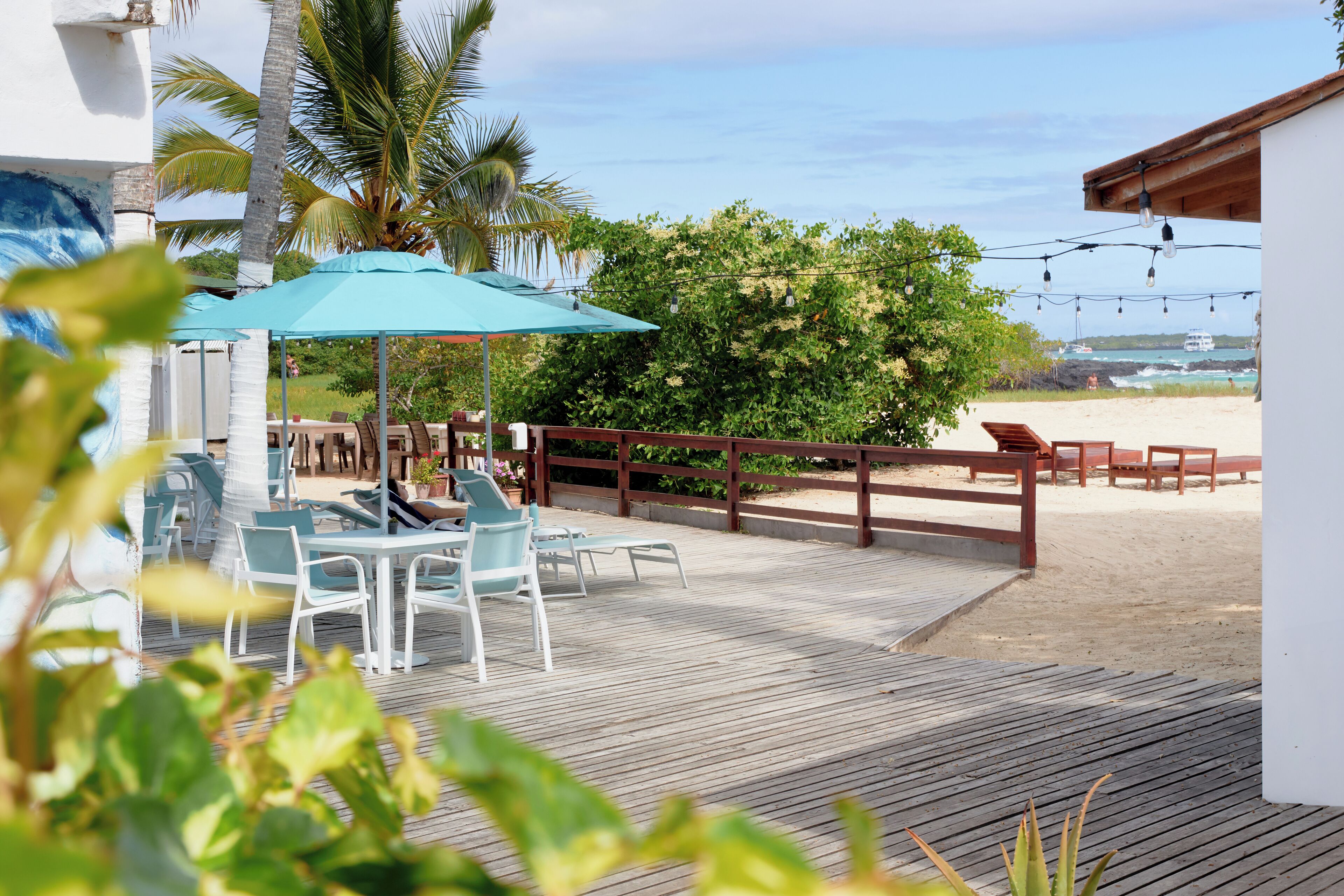 A wooden deck with outdoor seating, a view of the beach, and a palm tree.