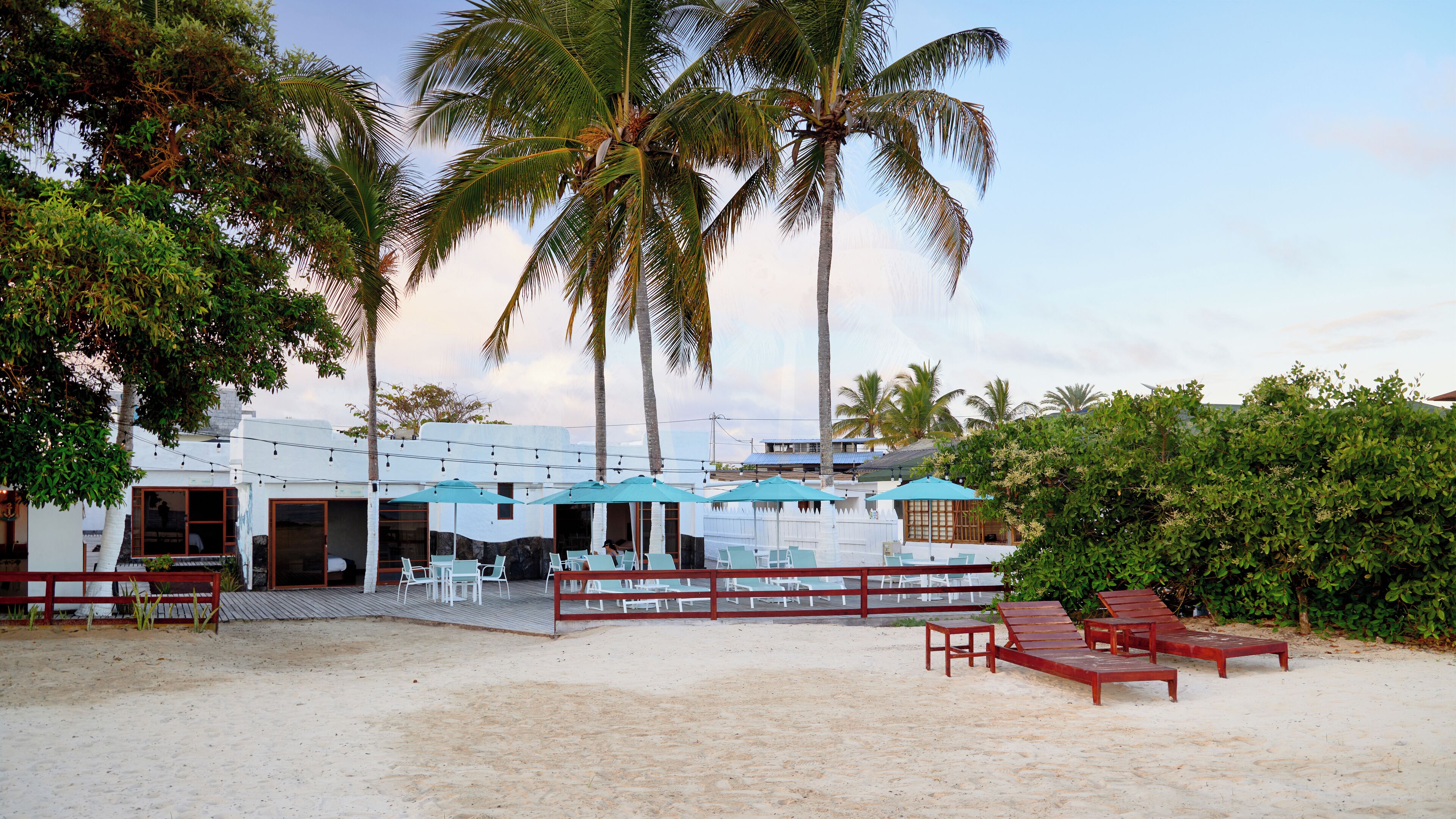 A beachfront property with outdoor seating, palm trees, and a building with multiple rooms.