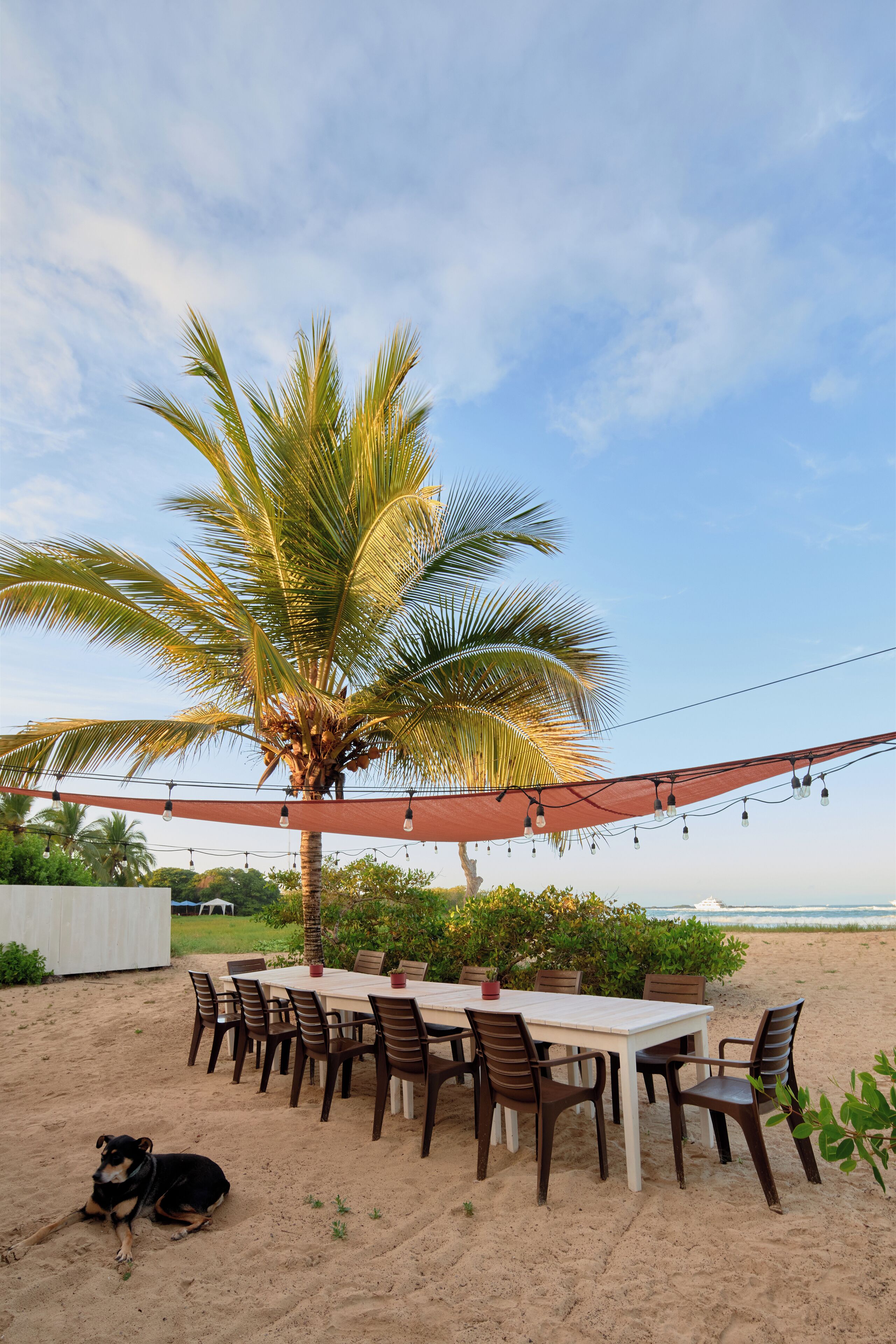 A beachside dining area with a table and chairs, a palm tree, and a dog lying on the sand.