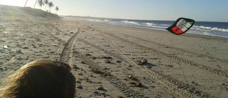 A sandy beach with footprints and tire tracks, palm trees in the background, and a kite flying in the sky.