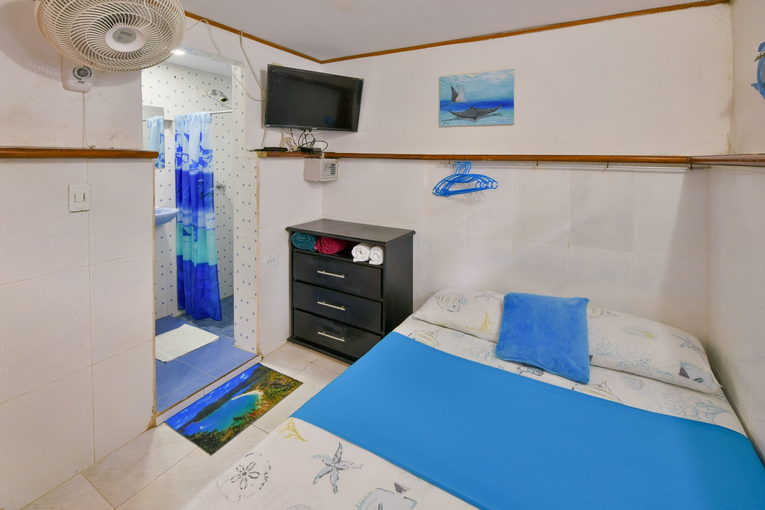 A bedroom with a bed, a dresser, a television, and a shower area.