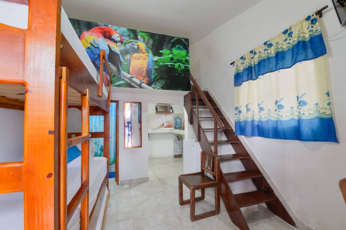 A staircase leading to a bedroom with bunk beds, a mural of colorful birds, and a bathroom with a toilet and sink.