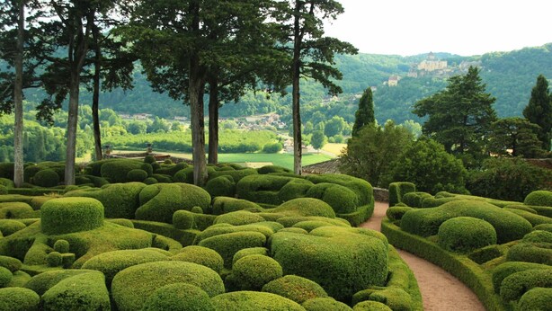 A meticulously landscaped garden with a winding path, surrounded by neatly trimmed hedges and tall trees.