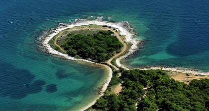 Comfortable apartment near the sea