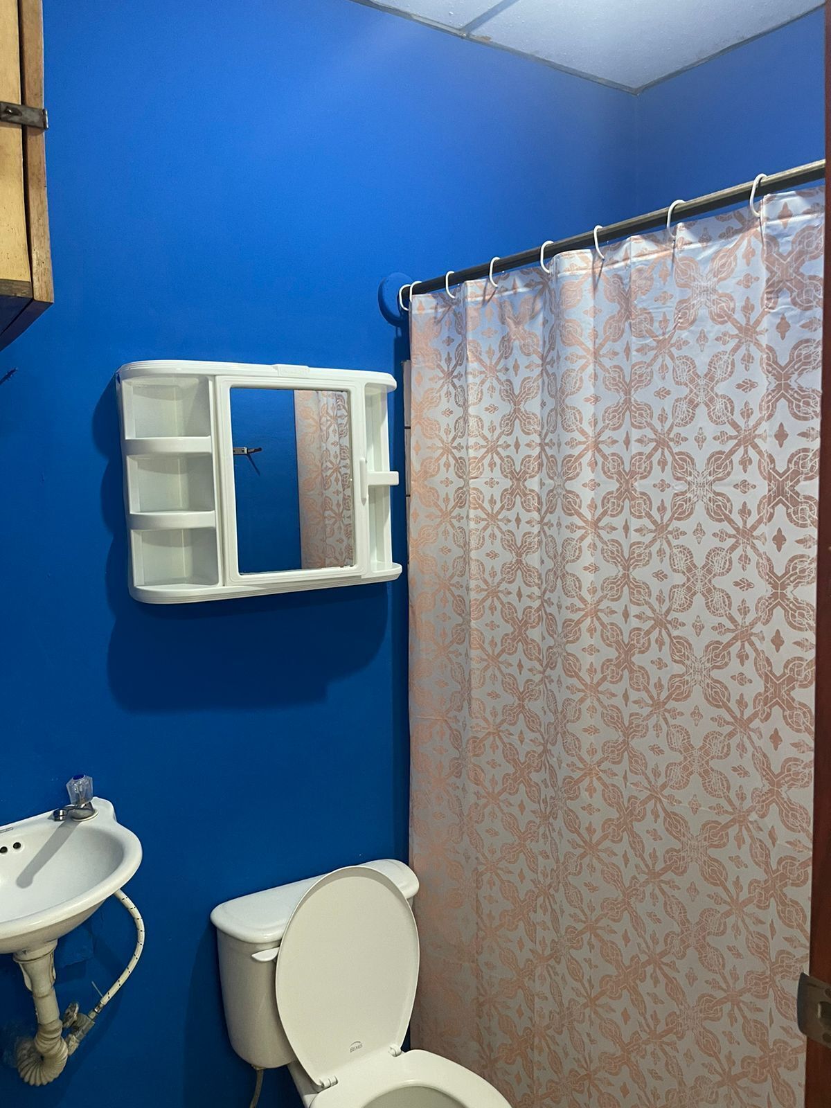 A bathroom with a blue wall, a white sink, a toilet, and a shower curtain with a floral pattern.
