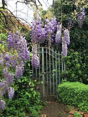 Garden - Boscobel of Tasmania (West Ulverstone)