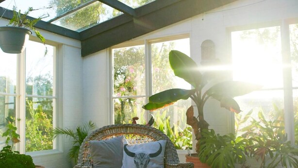 A conservatory with a wicker chair, a cushion with a bull's head design, and various potted plants. - Boscobel of Tasmania (West Ulverstone)