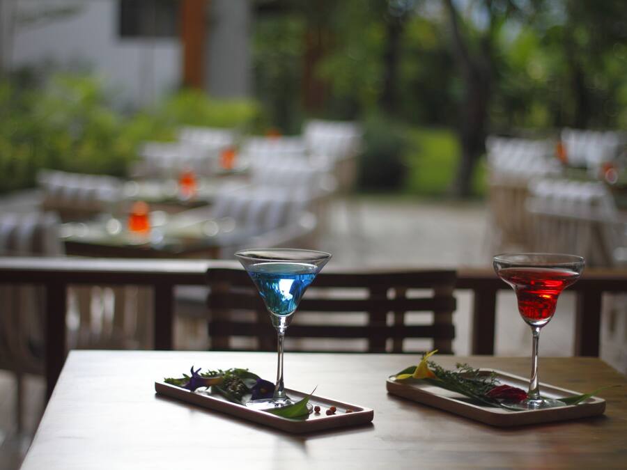 Ein Esstisch mit zwei Martini-Gläsern, jedes gefüllt mit einem farblich unterschiedlichen Getränk, und einer kleinen Speisenplatte.