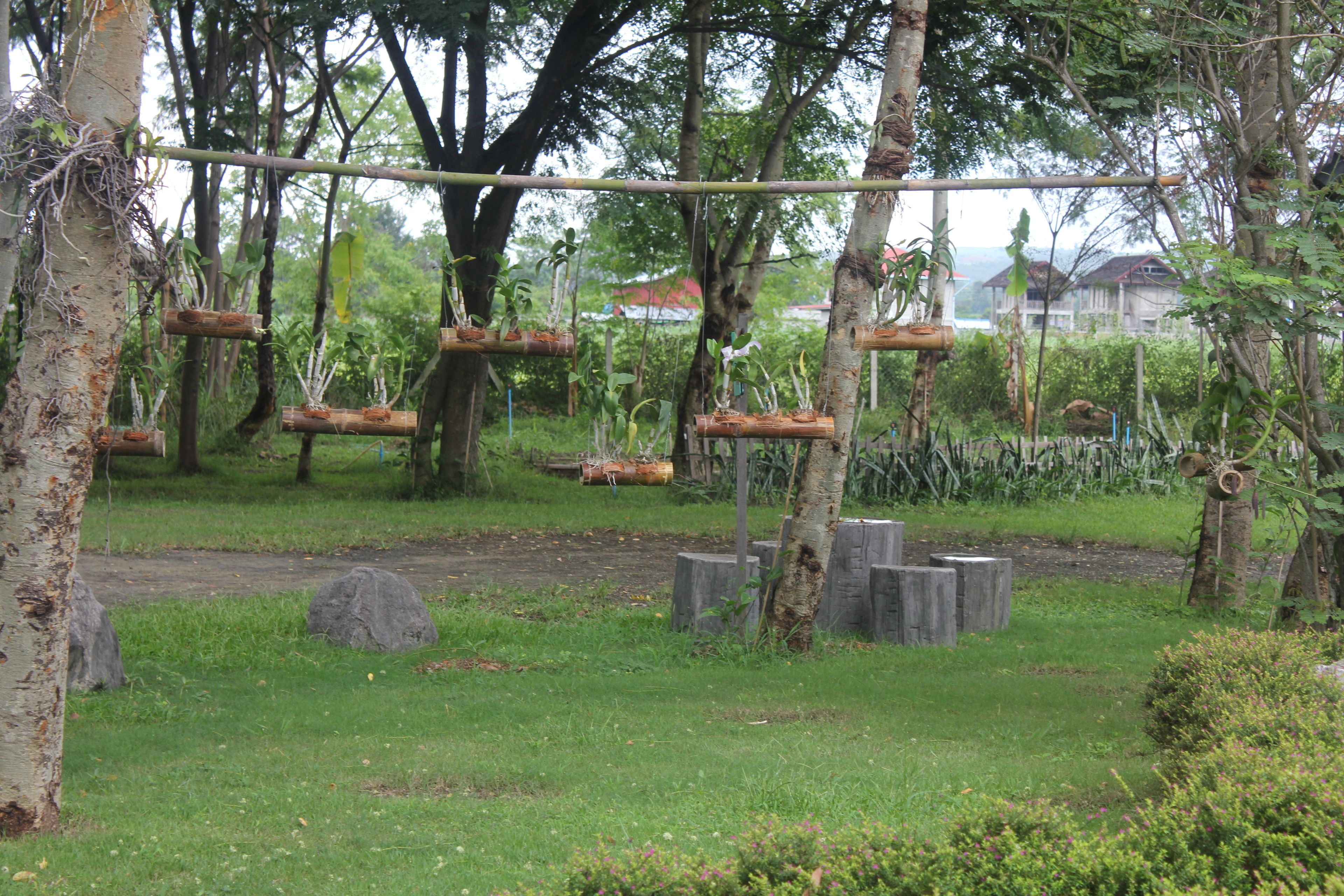 free self-parking, free valet parking