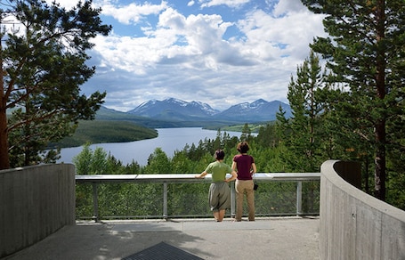 Servicio de la propiedad. Stor-Elvdal Hotell