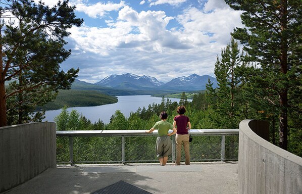 Servicio de la propiedad