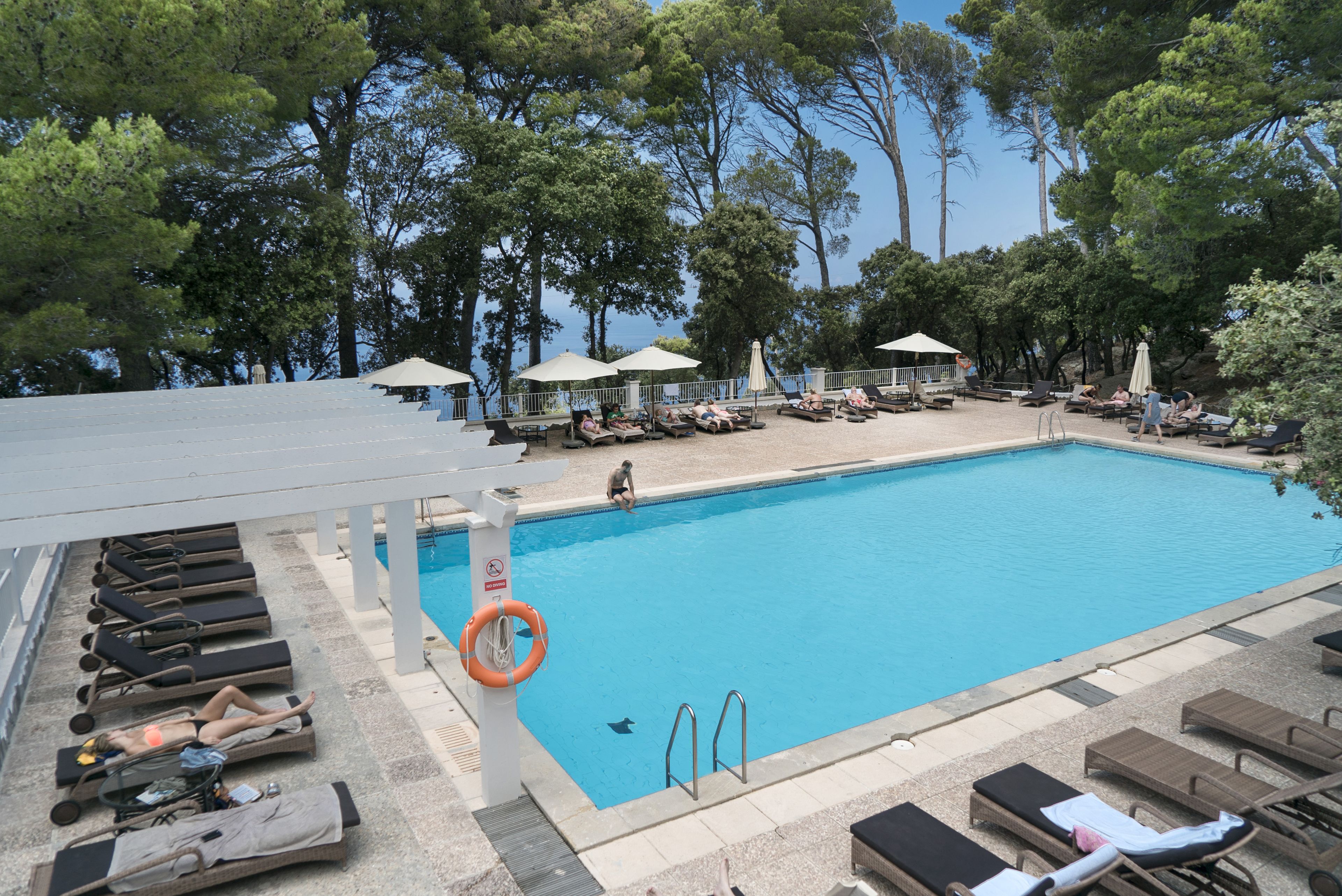 A swimming pool with lounge chairs and umbrellas, surrounded by trees.