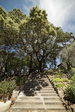 Garden - Hotel Bordoy Continental Valldemossa (Valldemossa)